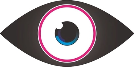 Big Brother 12 eye