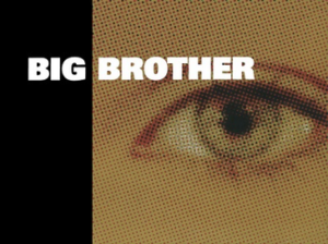 Big Brother 1 eye