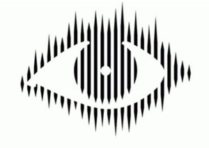 Big Brother 5 eye