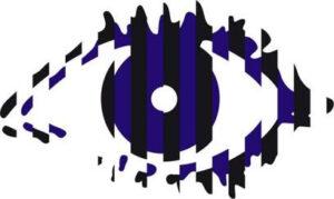 Big Brother 6 eye